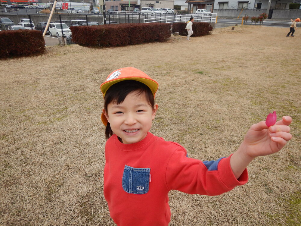 椿の花をもっているこども