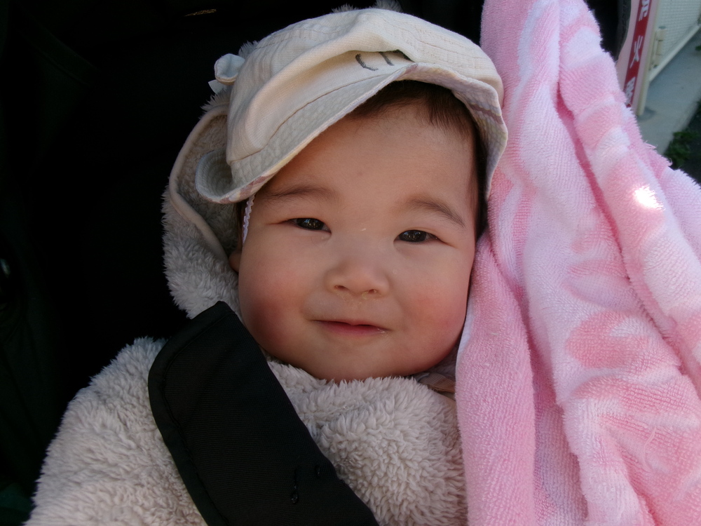 散歩をしている