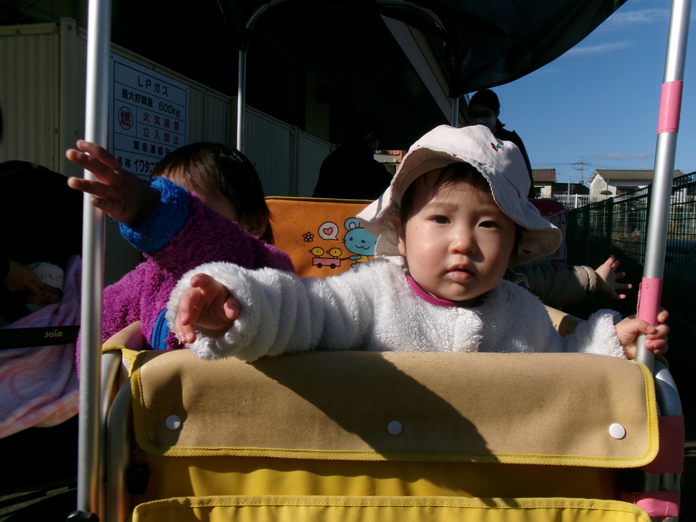散歩車に乗っている