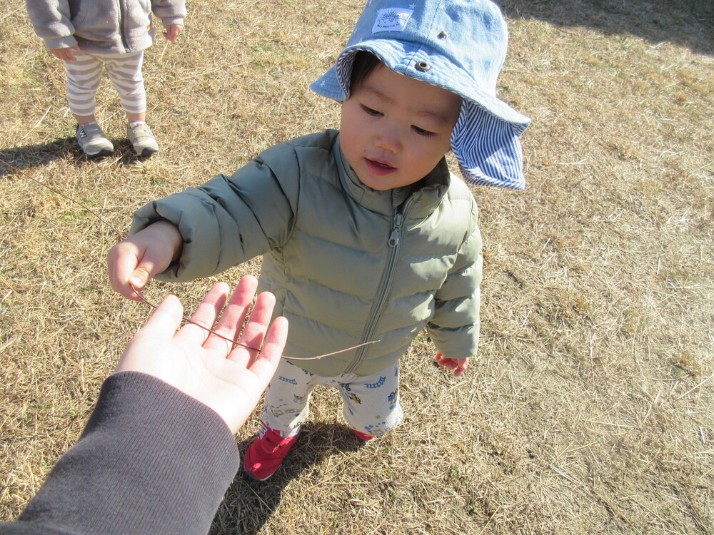 園庭で遊んでいる