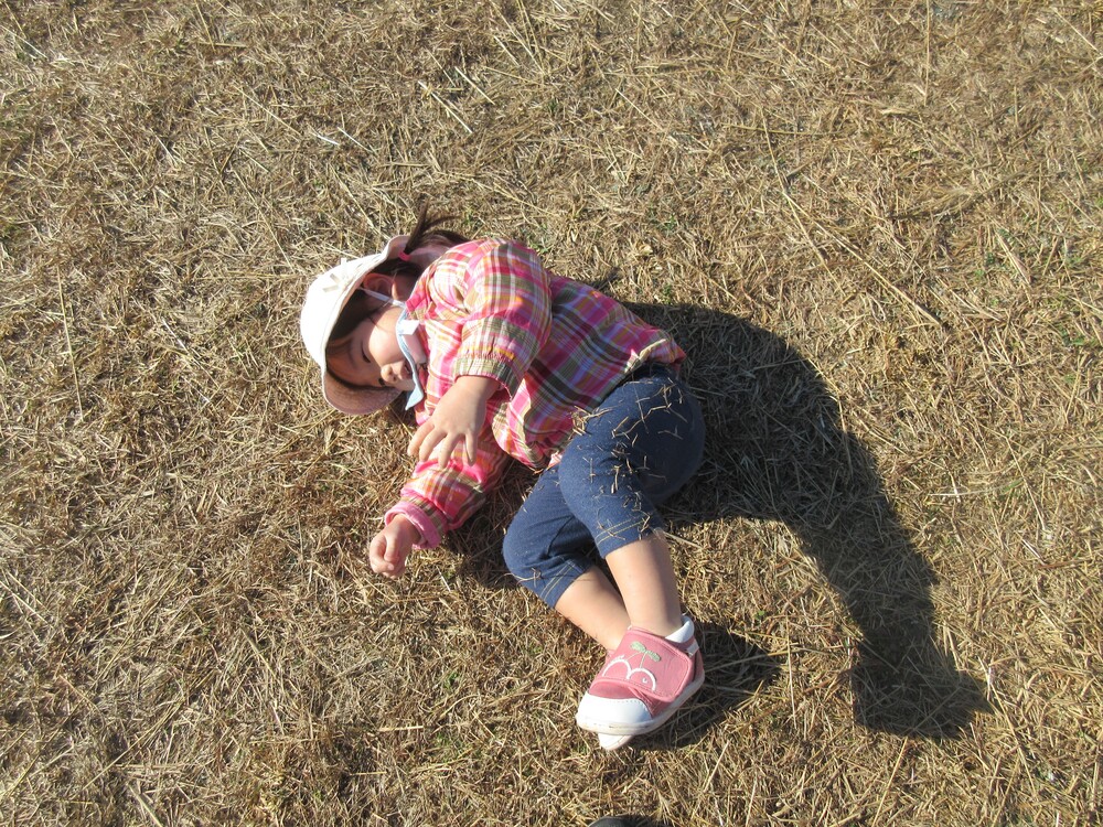 園庭で遊んでいる