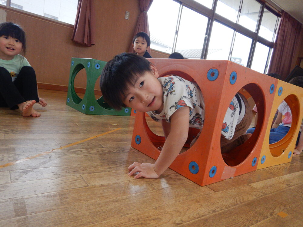 カラーボックスを潜る様子