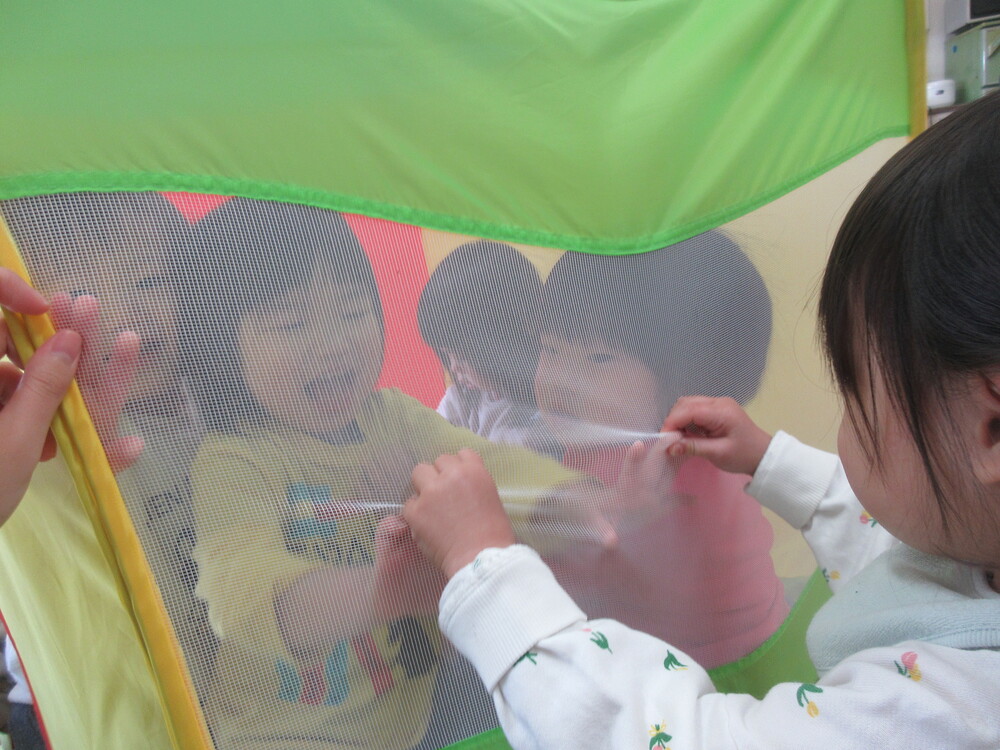 ボールハウスで遊んでいる