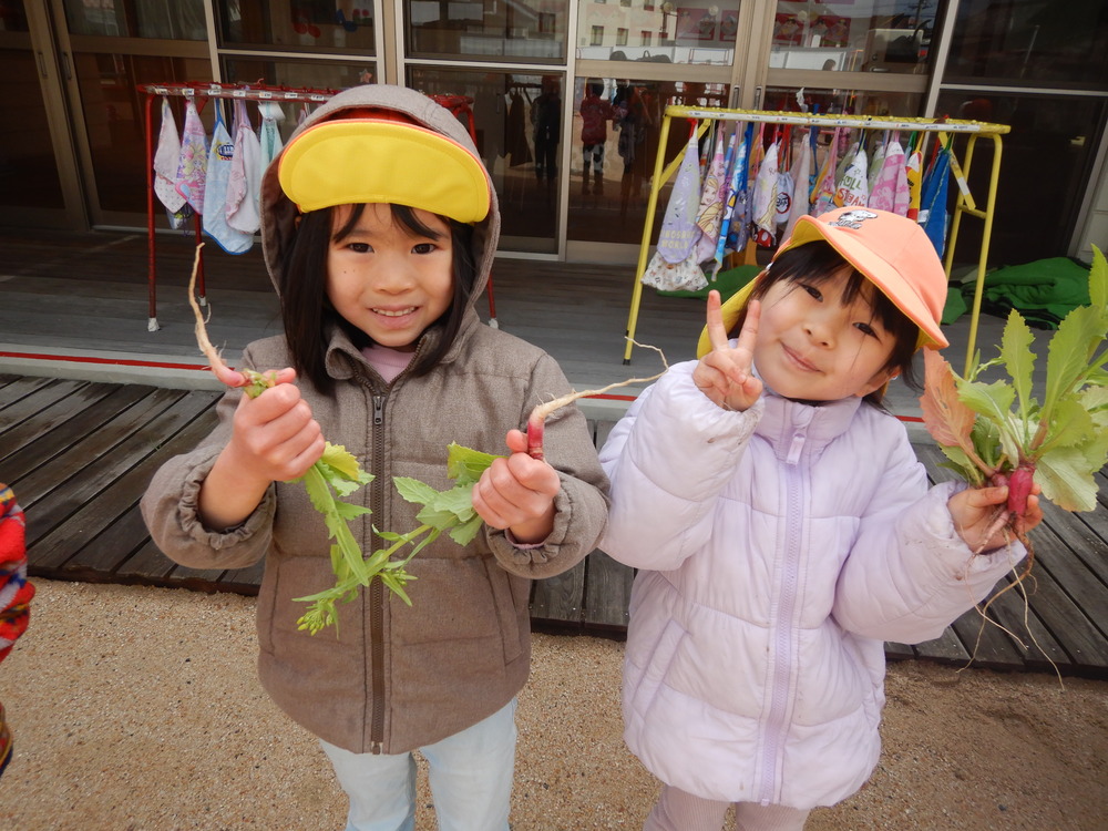 ピカピカになった野菜を見せてくれる様子