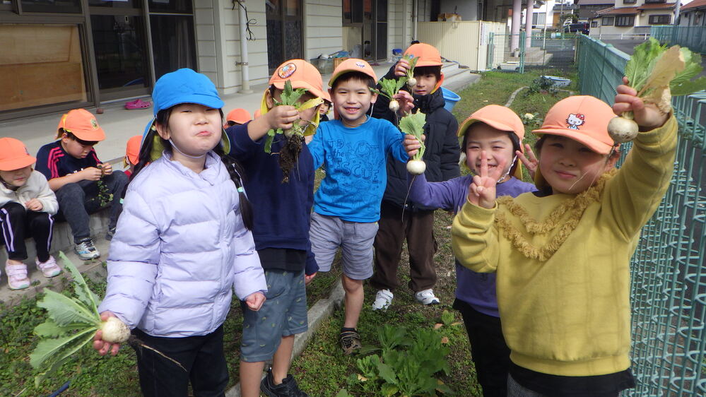 畑の野菜を抜く子ども (2)