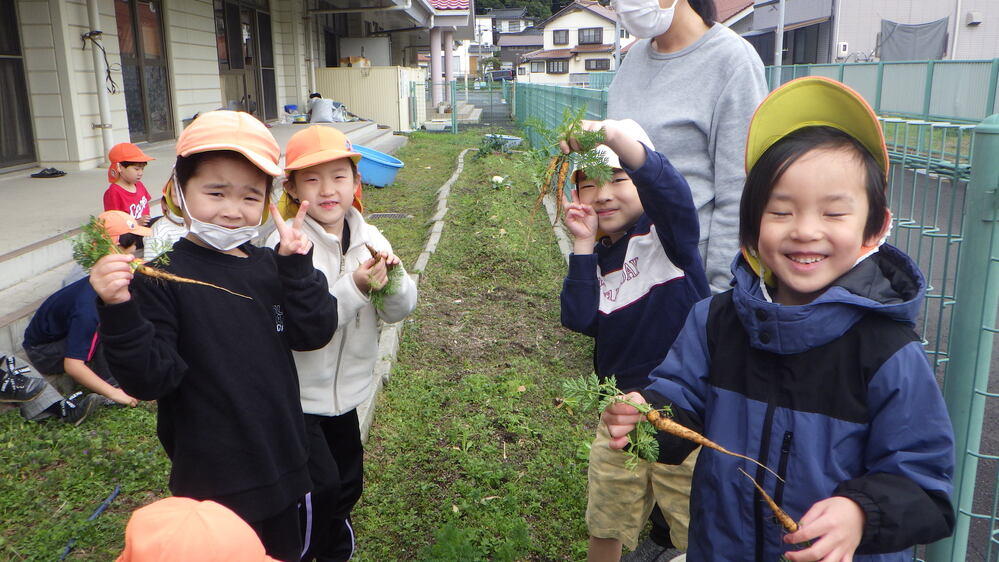 畑の野菜を抜く子ども (5)