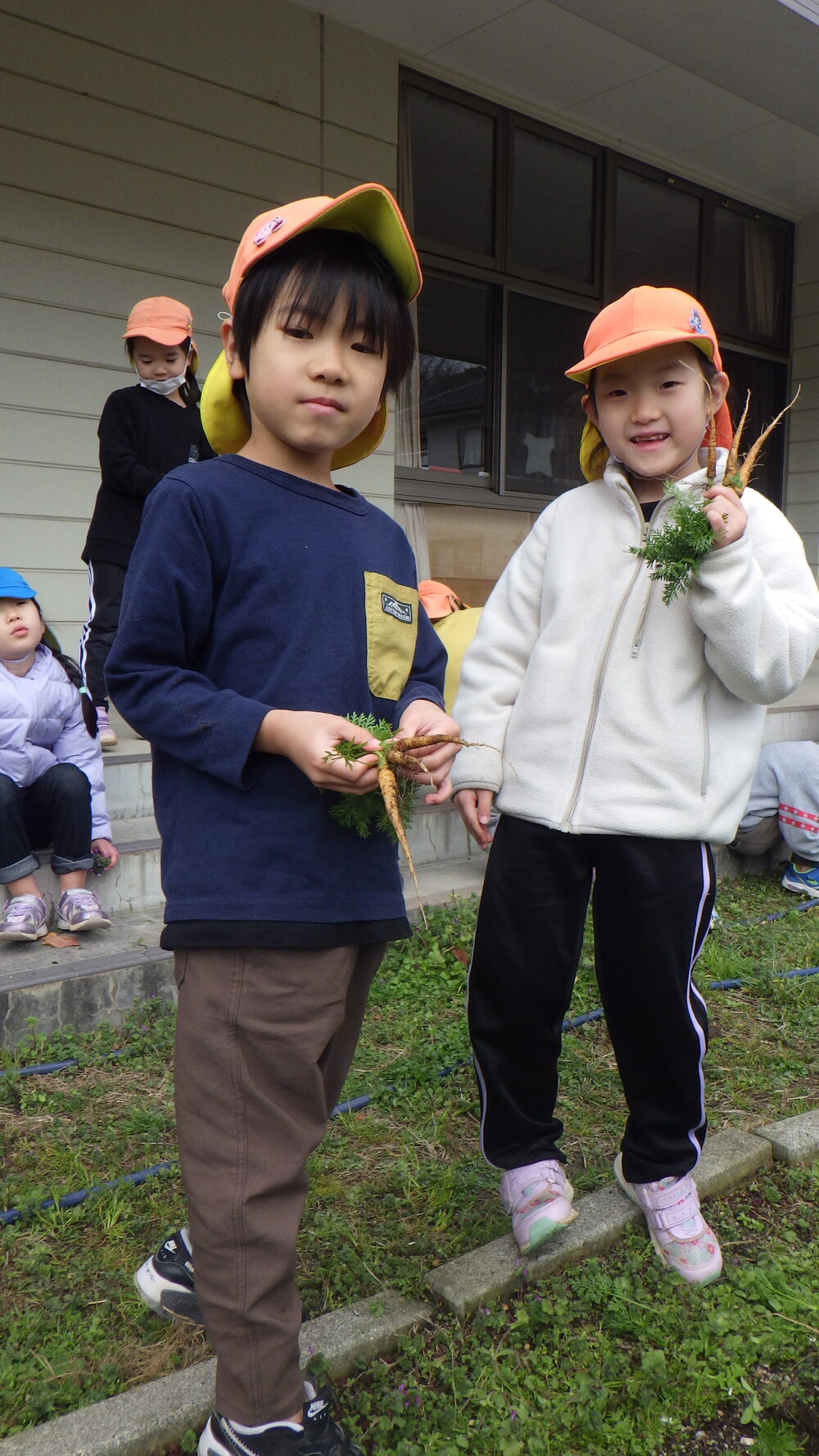 畑の野菜を抜く子ども (6)