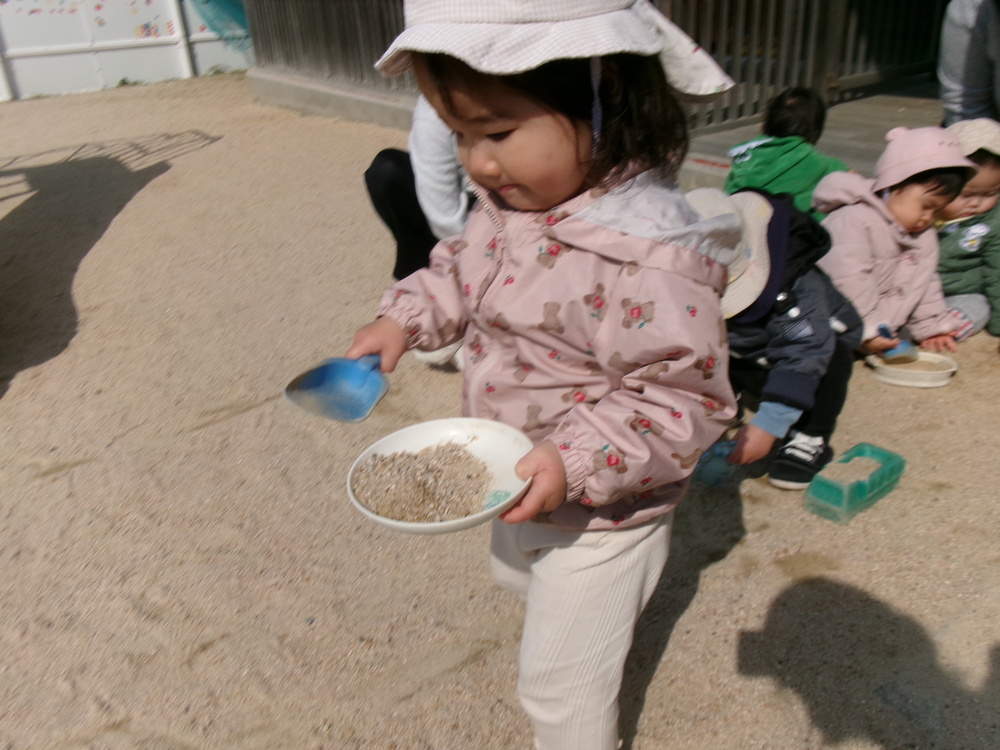 園庭遊びの様子 (5)