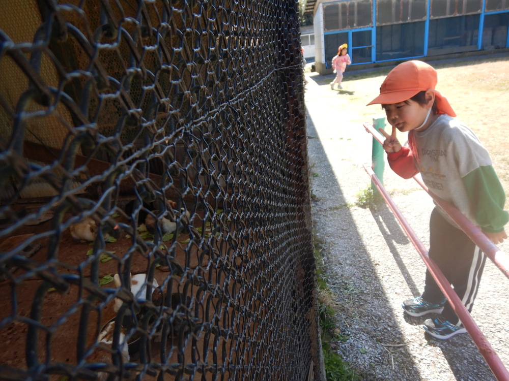 散歩の様子１２