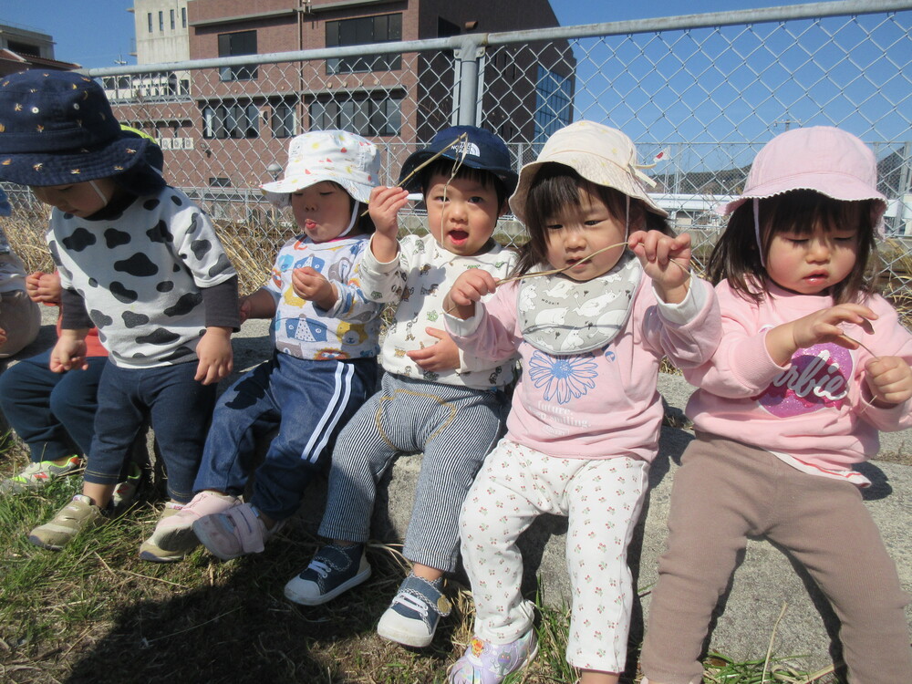 枯草で遊んでいる