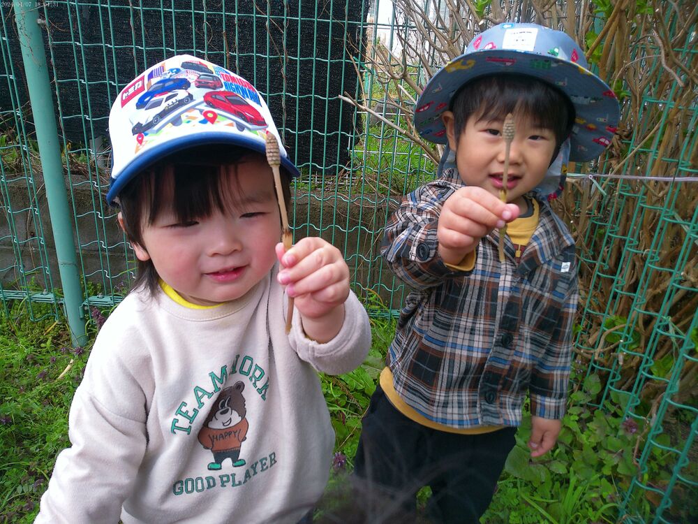 制作とブロッコリー (3)