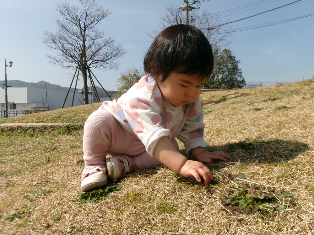 あすてらす公園で遊んでいる
