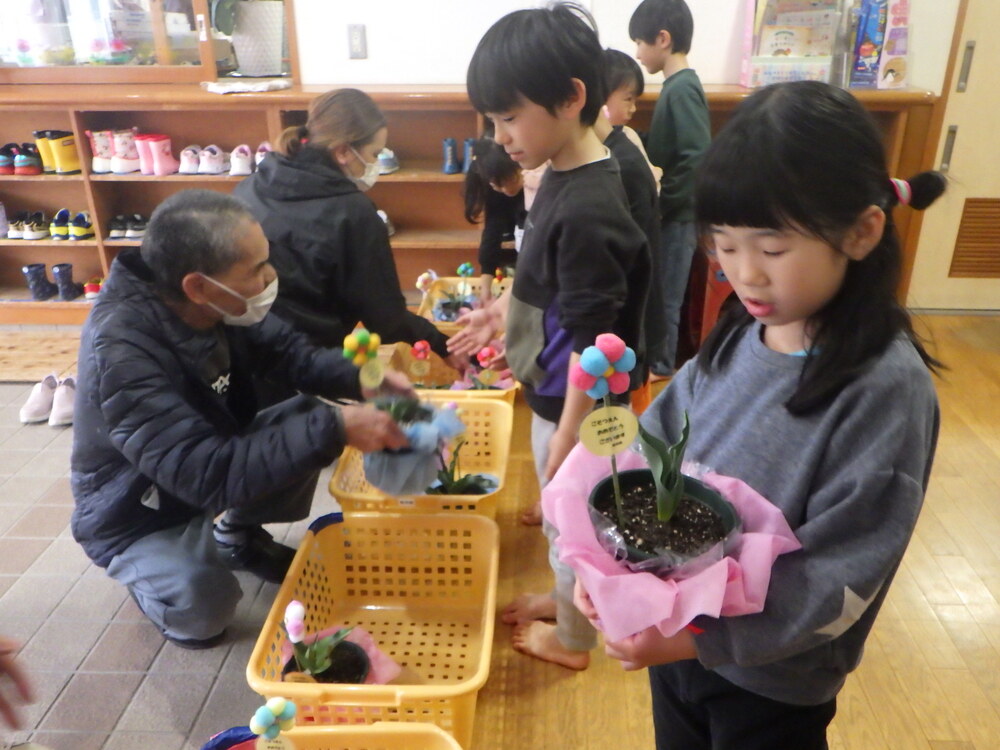 鉢植えをいただいたところ