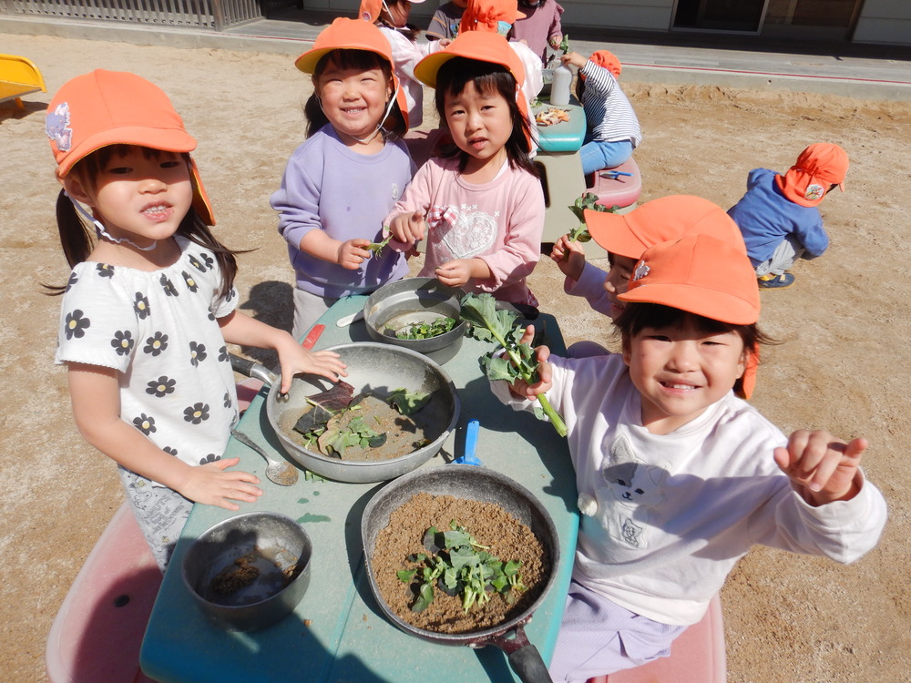 ブロッコリーの収穫 (6)