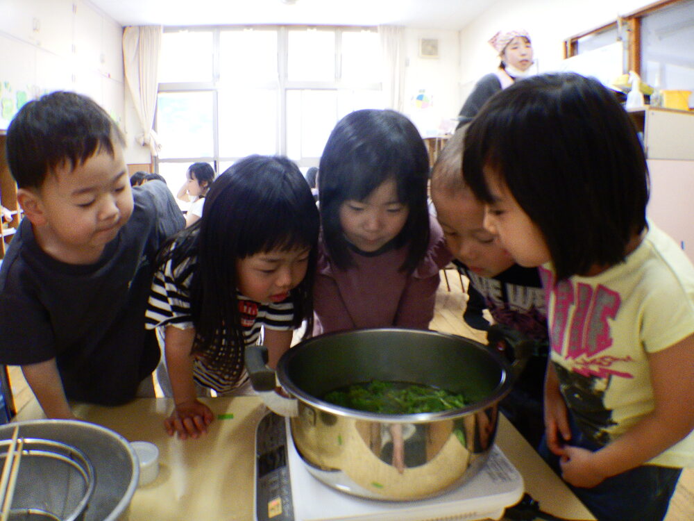 ブロッコリーの収穫 (8)