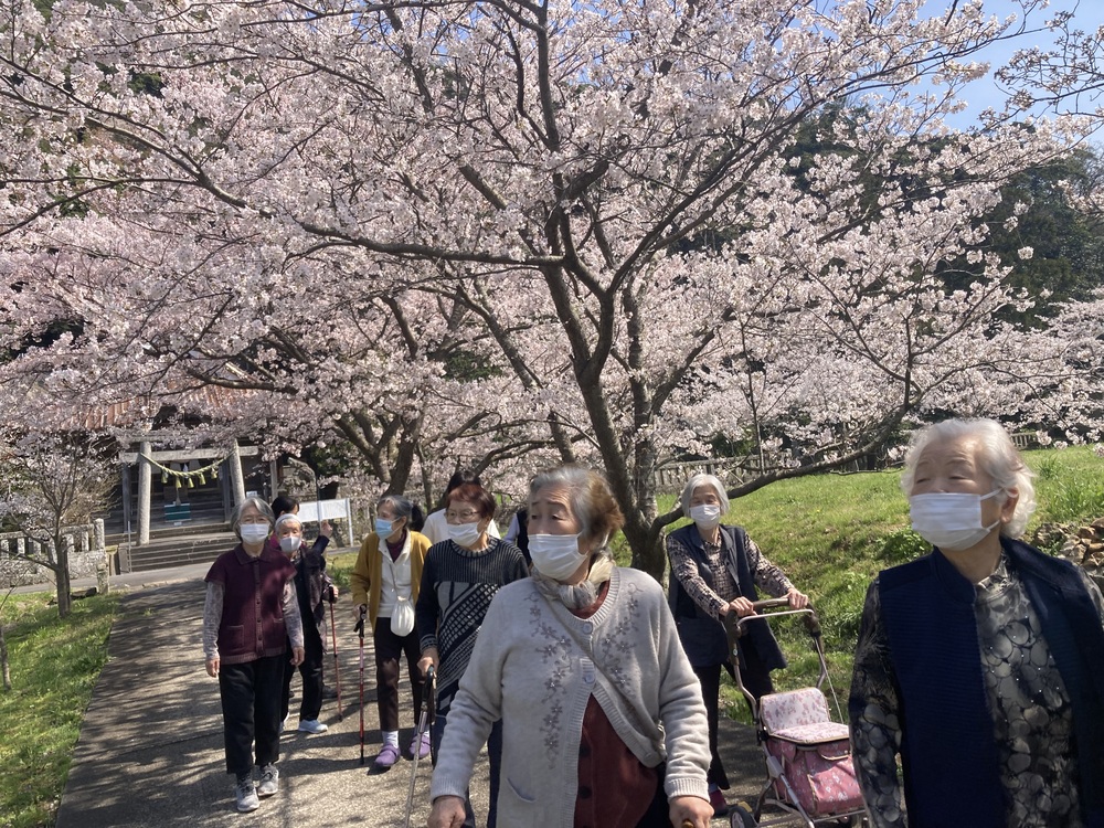 参道を歩きます