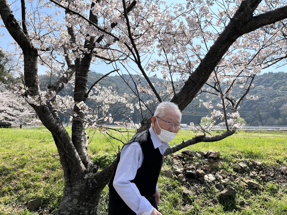 桜と天気で足取りも良くなります