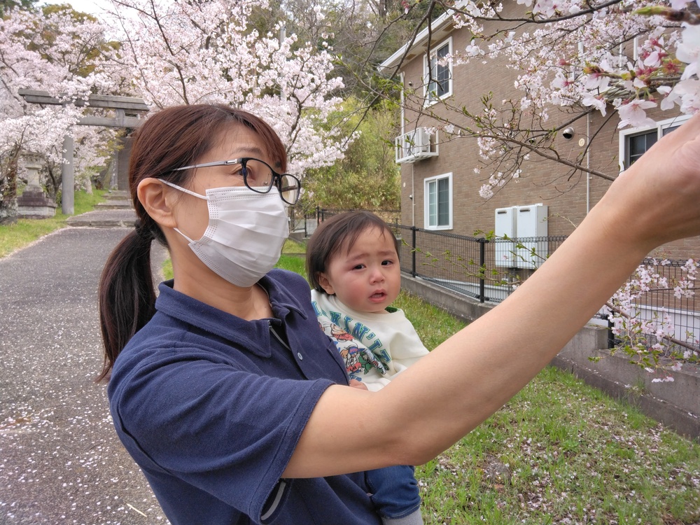 散歩の様子（1）