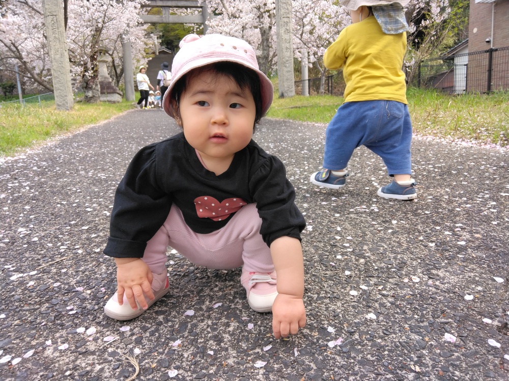 散歩の様子（2）