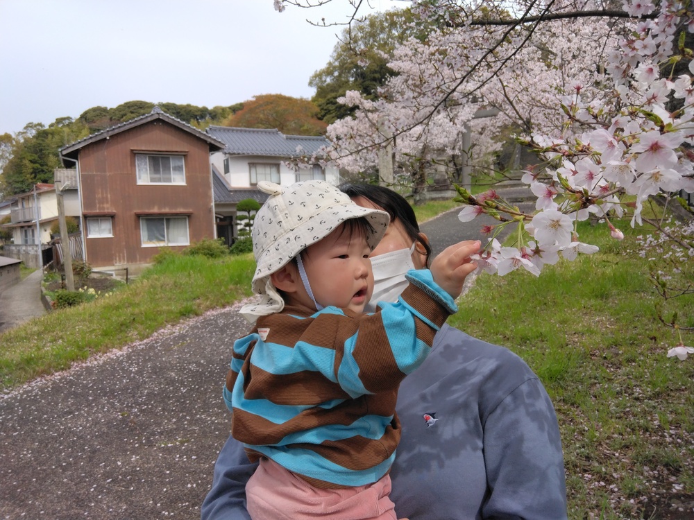散歩の様子（3）