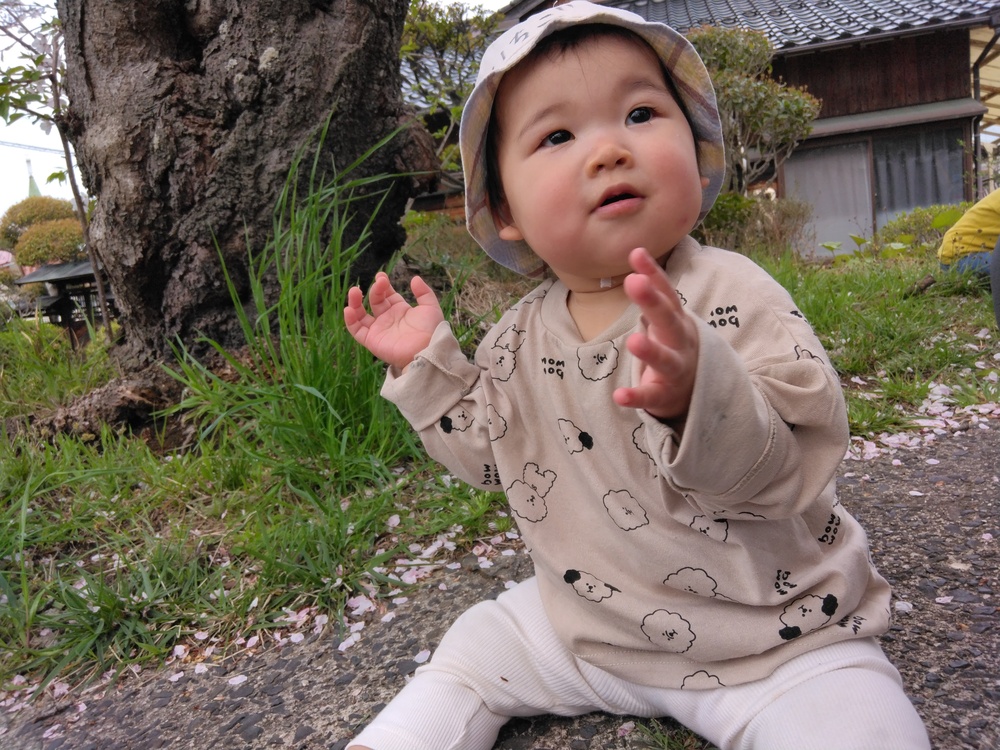 散歩の様子（5）