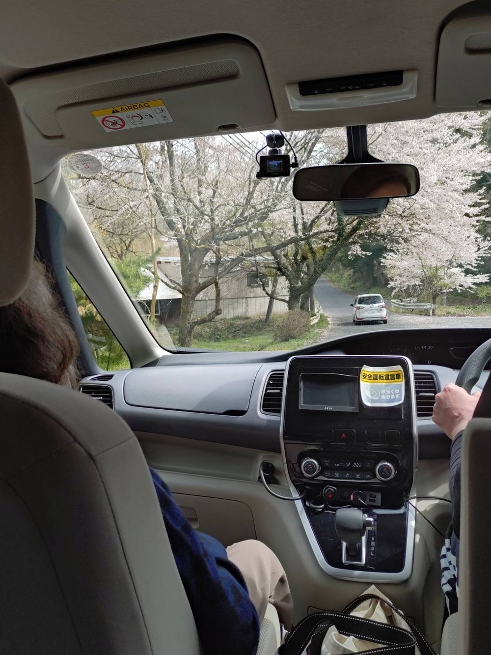 上山さくら祭り