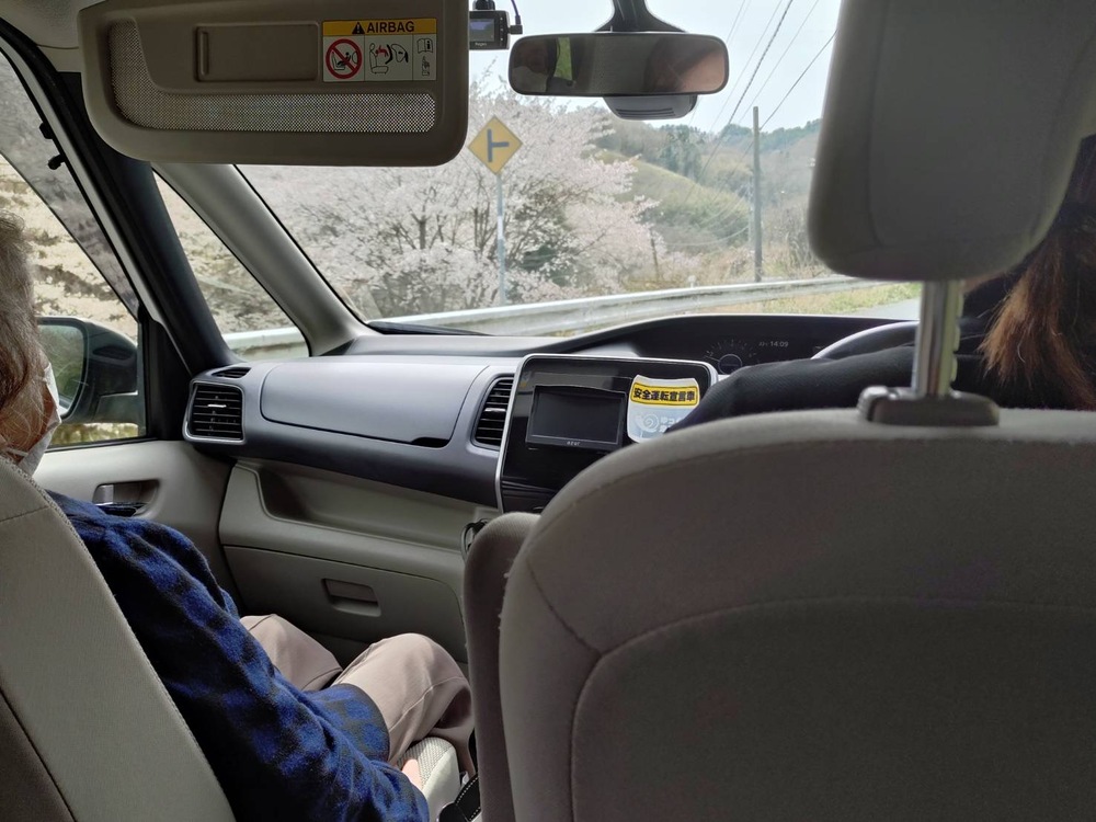 上山さくら祭り2