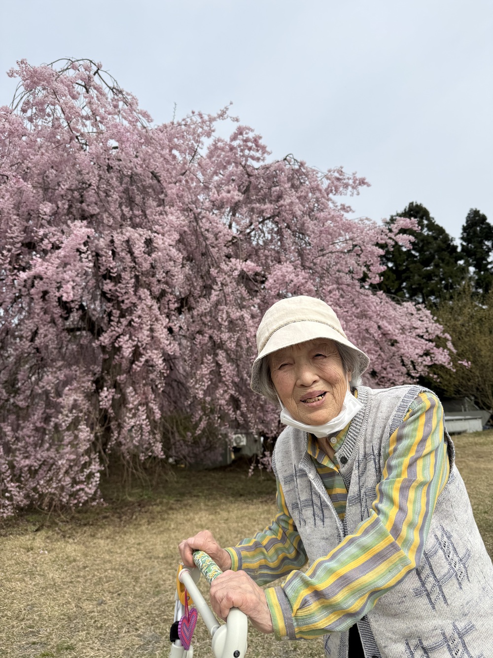 志学にてWさんと枝垂桜
