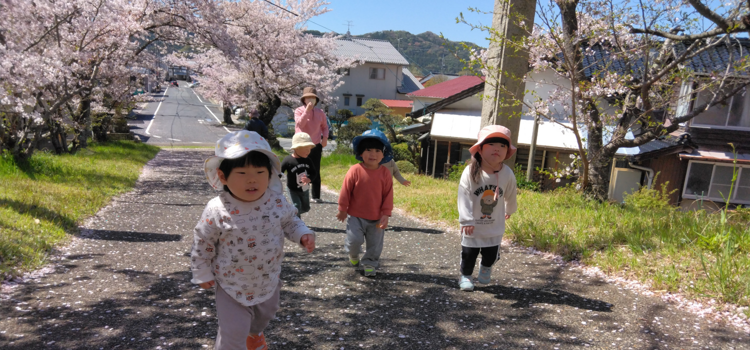 みかん組