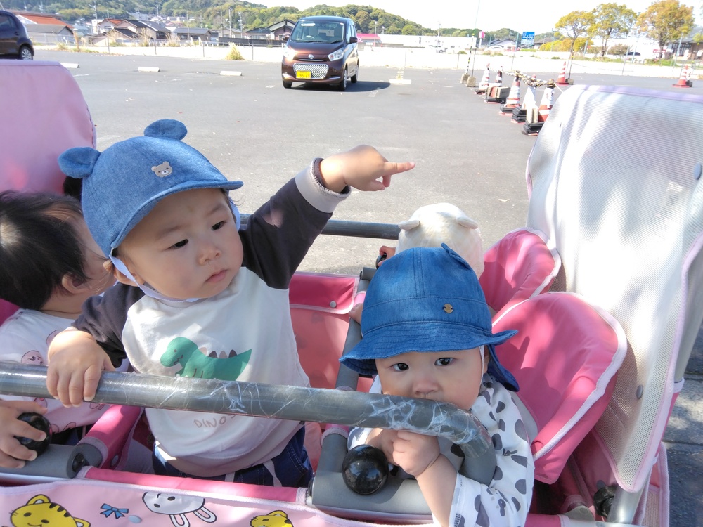 お散歩の様子⑴