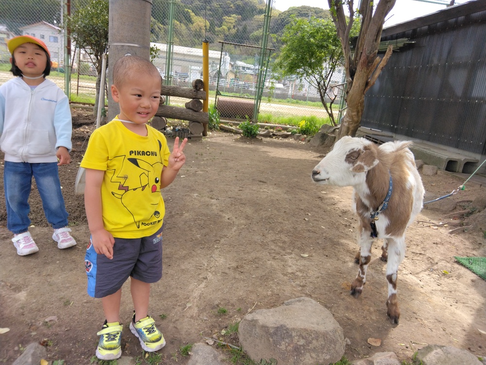 ヤギのメエ太 (2)