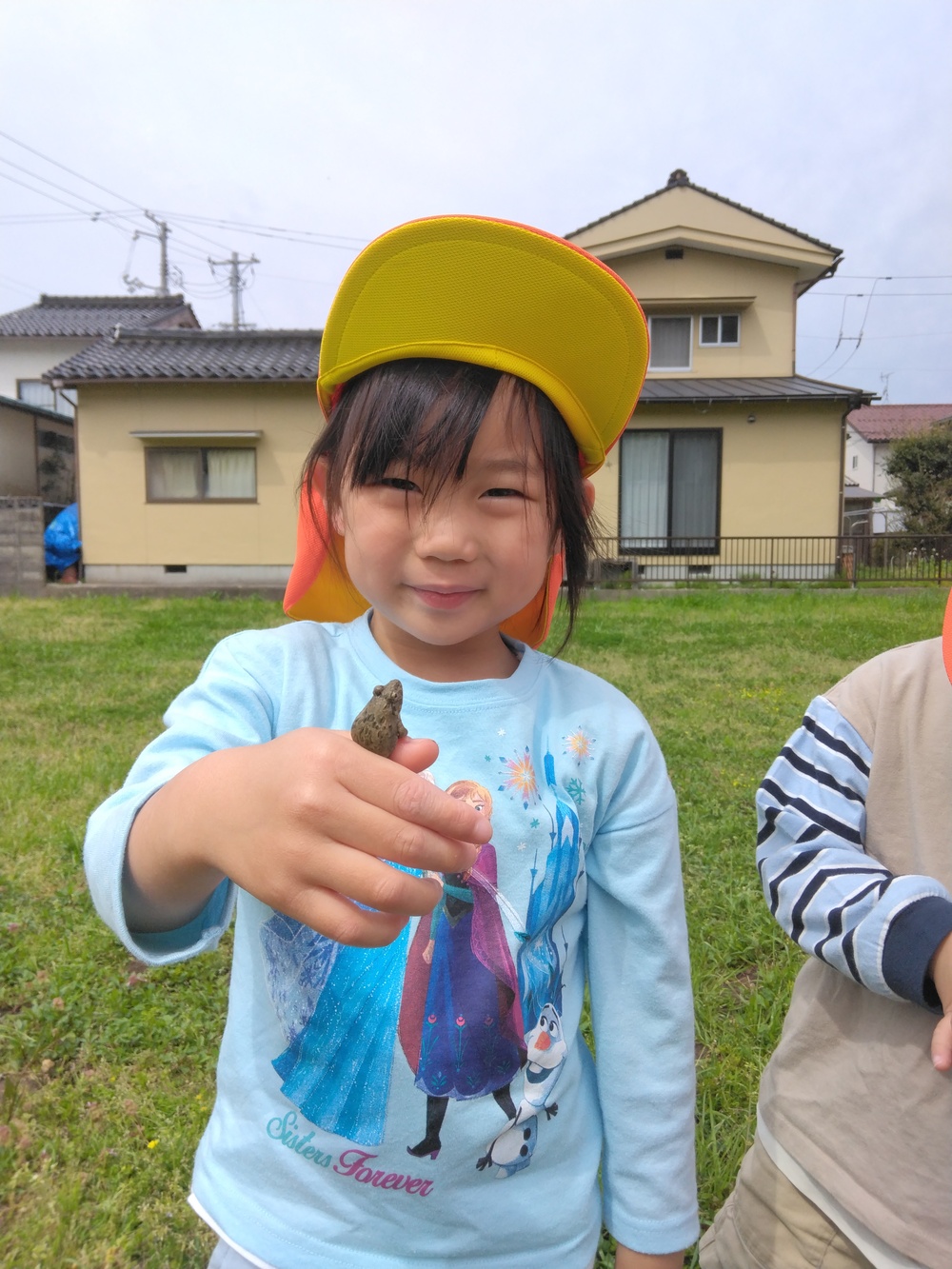 ヤギのメエ太 (3)