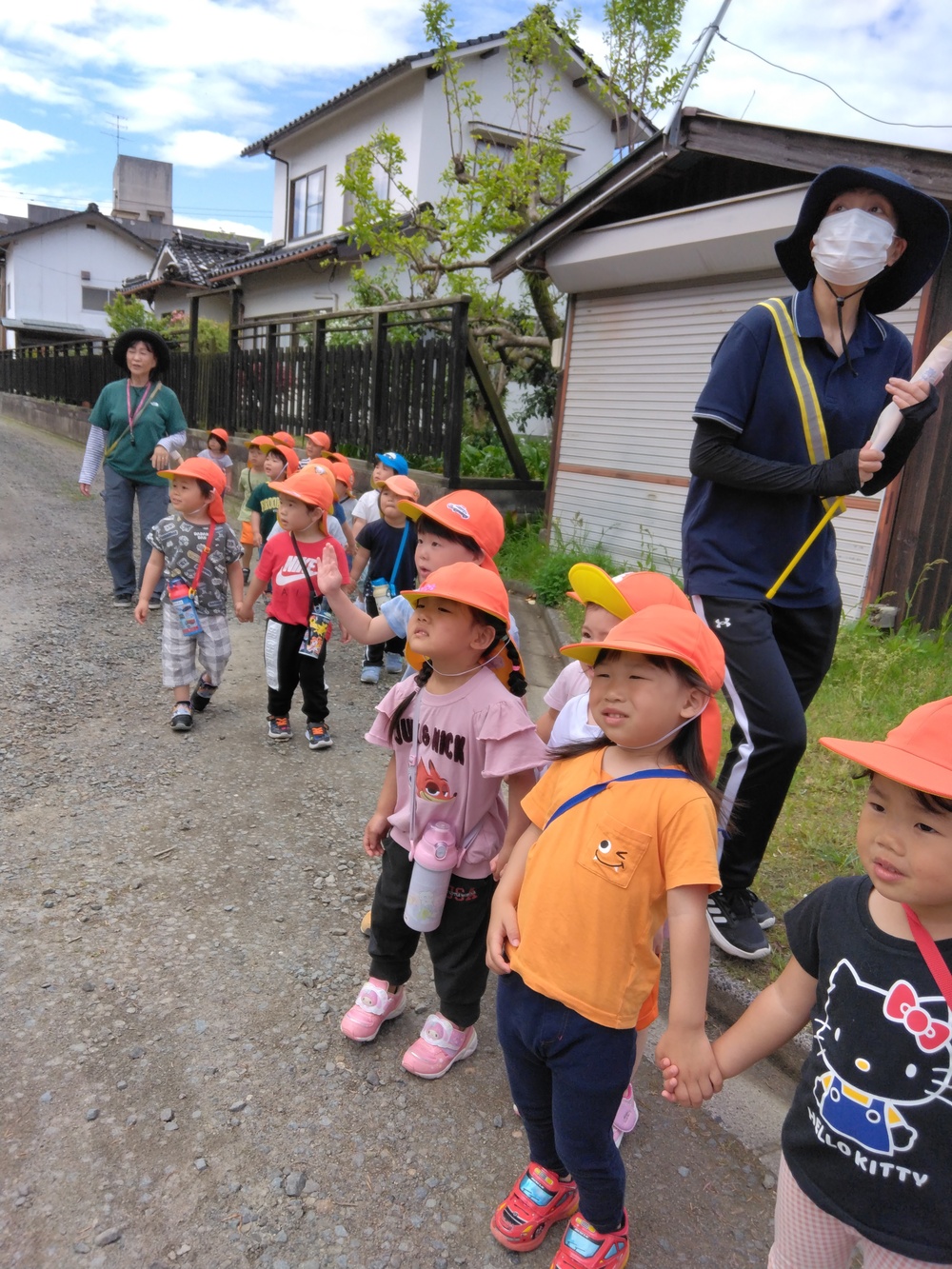 こいのぼりを見る