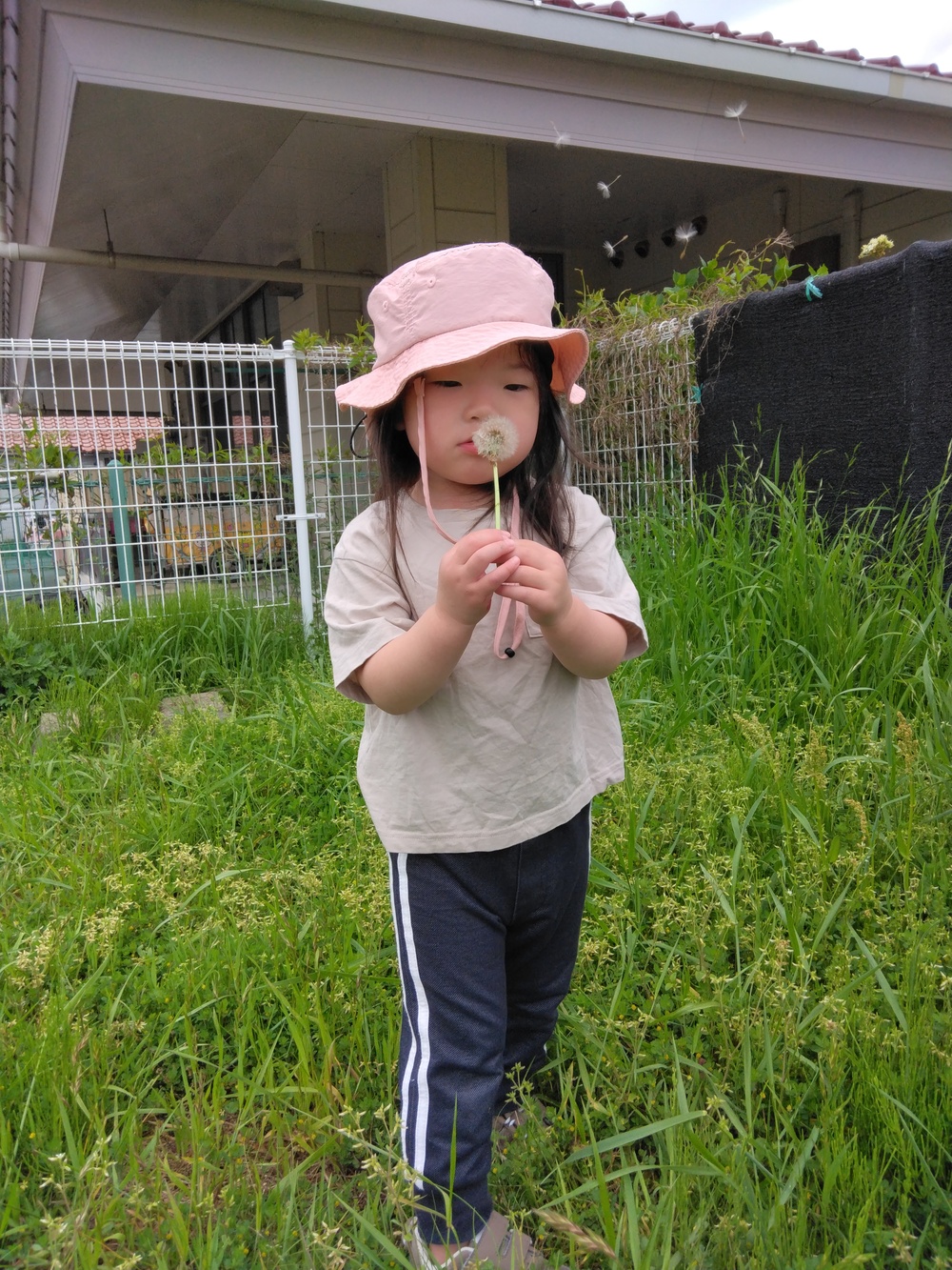 園庭遊びの様子
