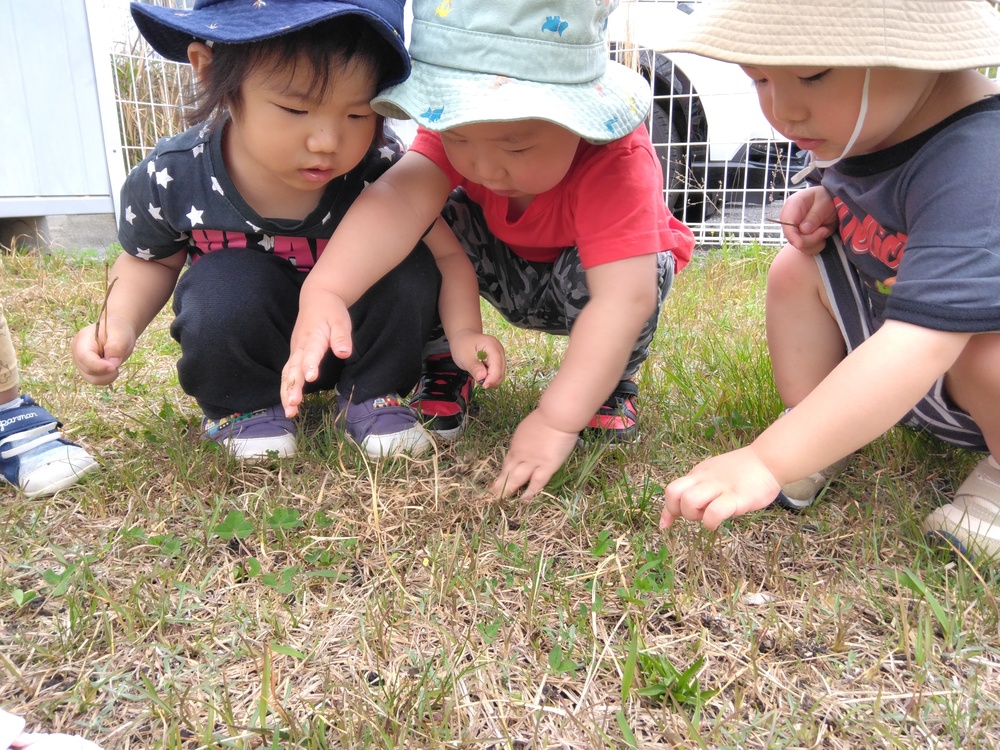 園庭遊びの様子