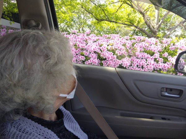 ドライブ中です