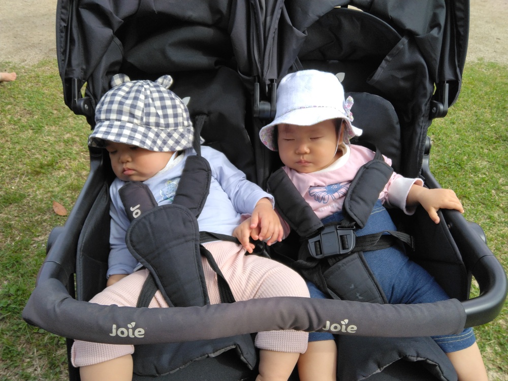 お散歩の様子⑴