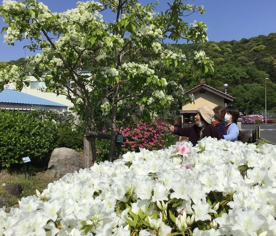 20260425172219191db6461e3