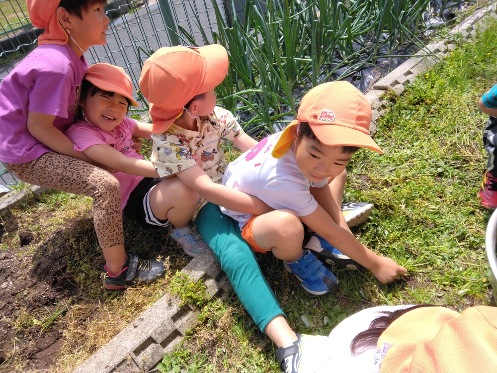 草抜きの様子１