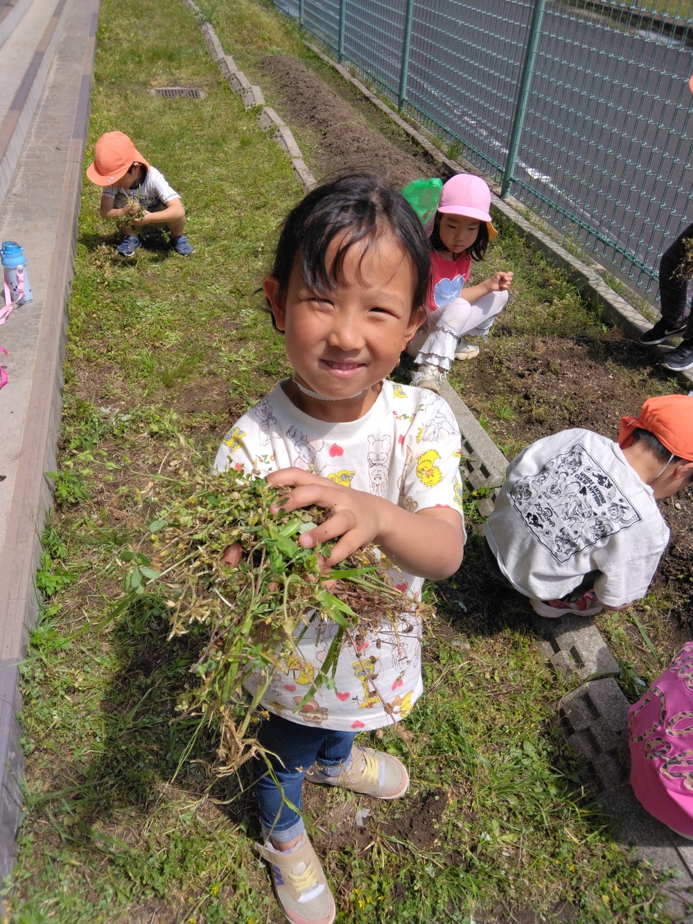 草抜きの様子２