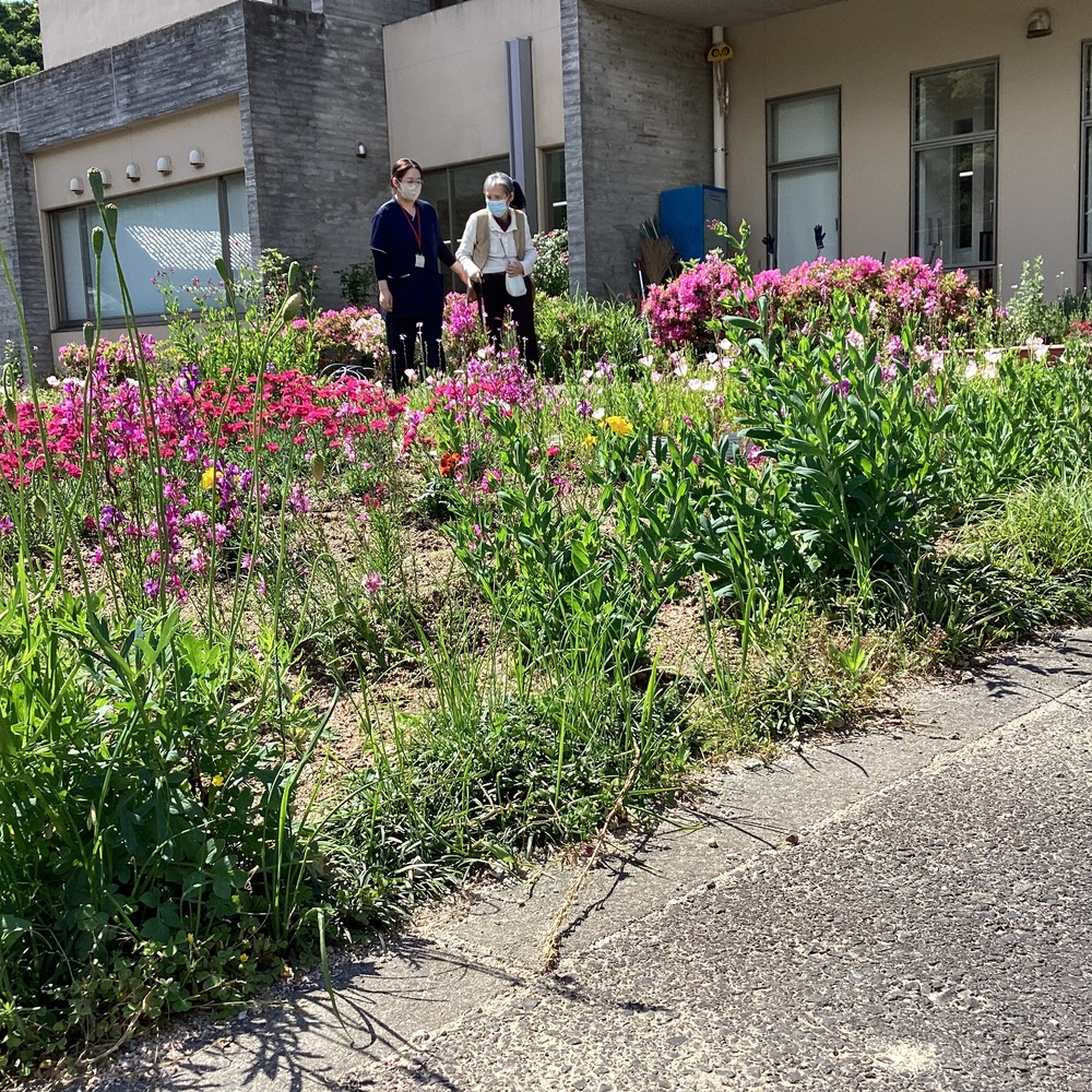 花を見ながら散歩