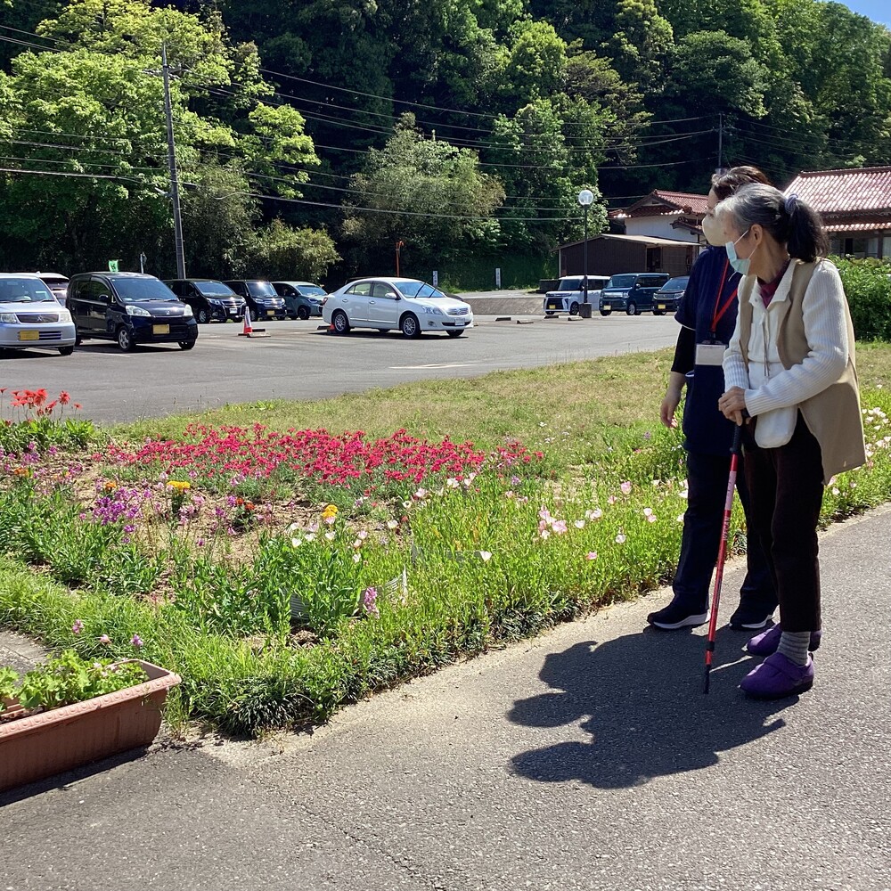 花の鑑賞