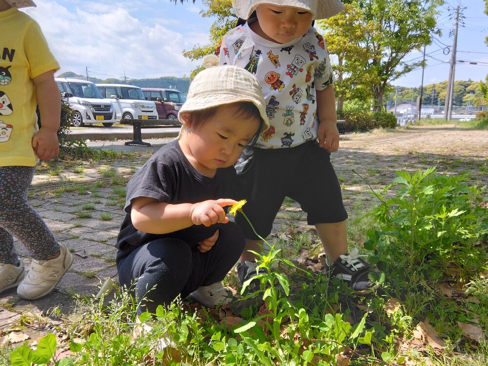 散歩の様子 (1)