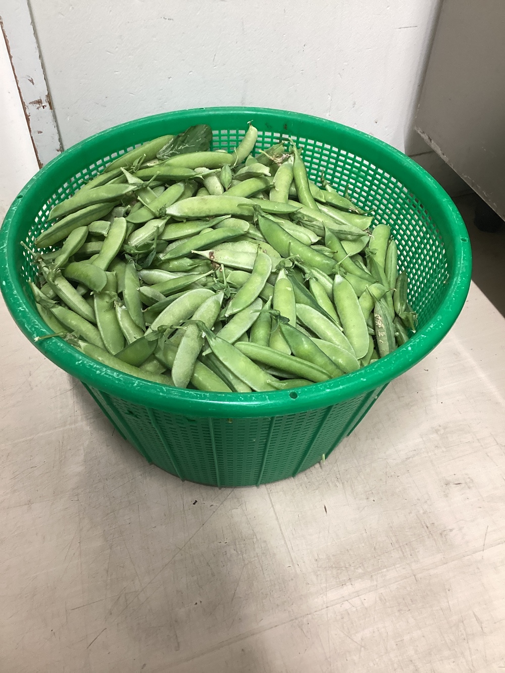 えんどう豆