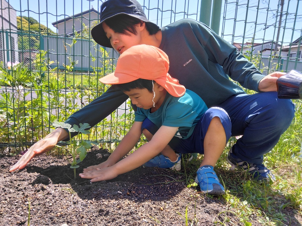 苗を親子で植えている様子