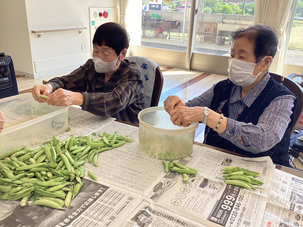 えんどう豆5