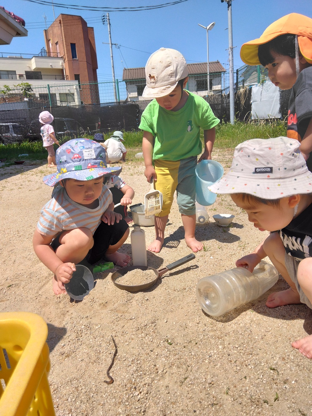 IMG_20260511_104543[1]