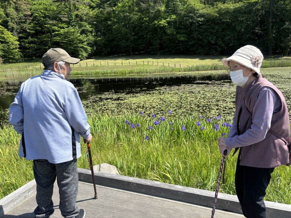 IMG_6794