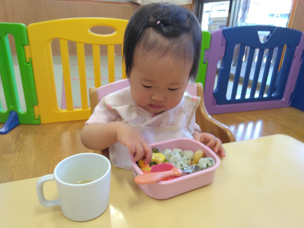 お弁当⑴