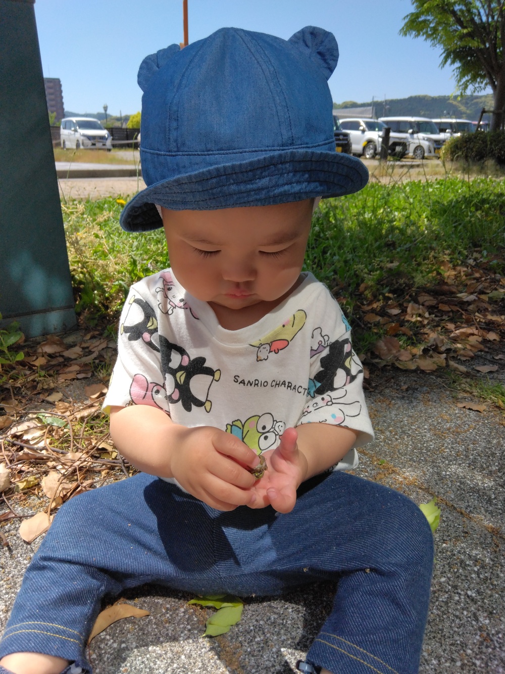 散歩⑹